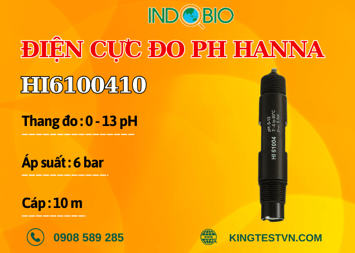 Điện cực pH Hanna HI6100410